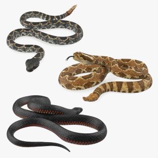 Rigged Snakes 3D Models Collection 3D model