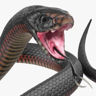 3D model Desert Black King Snake Rigged