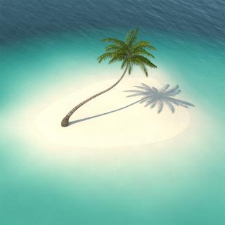 Desert Tropical Island with Palm Tree 3D