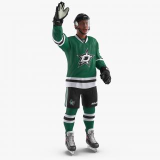 3D Hockey Player Stars Rigged