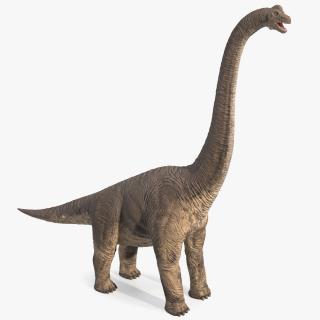 Brachiosaurus Standing Pose 3D