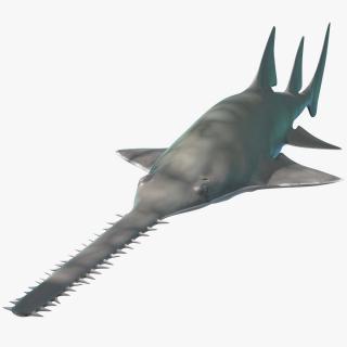 Sawfish 3D model