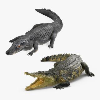 3D Rigged Crocodiles Collection model