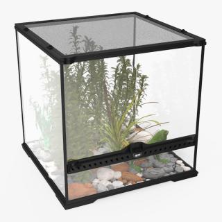 Small Cubic Terrarium with Plants and Iguana 3D model