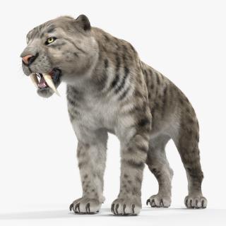 3D Arctic Saber Tooth Cat with Fur