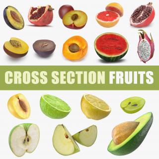 3D Cross Section Fruits 3D Models Collection 4 model