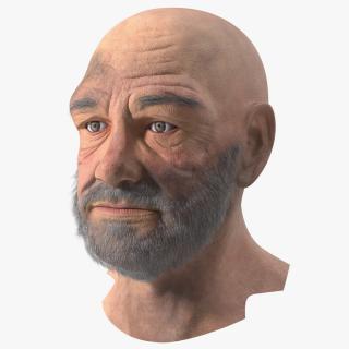 3D Homeless Old Man Head