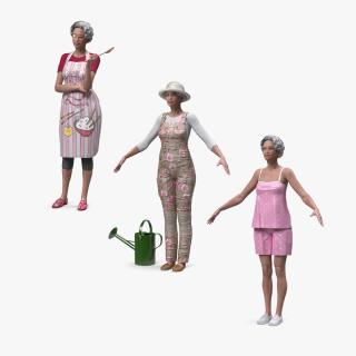 Asian Old Ladies Collection 3D