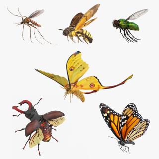 3D model Flying Insects Collection