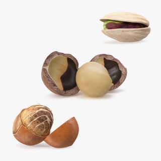 Opened Nuts Collection 3 3D model