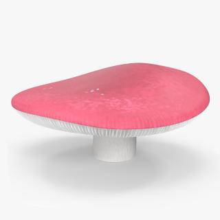 Russula 3D model