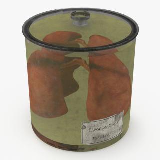 3D model Human Lungs in Old Glass Jar 2