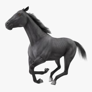 3D Gallop Pose Horse Fur