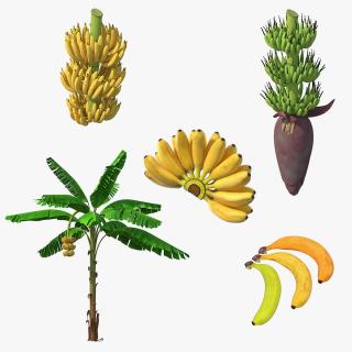 3D model Bananas Collection 3