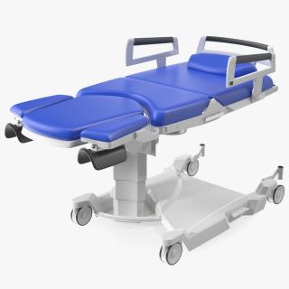 3D Blue Bed for Birth model