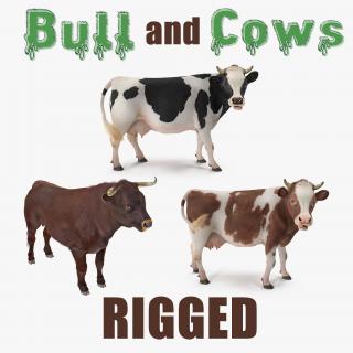 3D Rigged Bull and Cows Collection