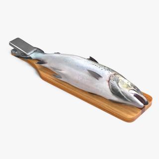 Fillet Board with Salmon 3D model