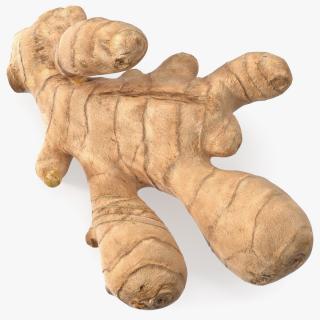 3D Ginger With Sliced Part model