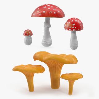 3D model Mushrooms Collection