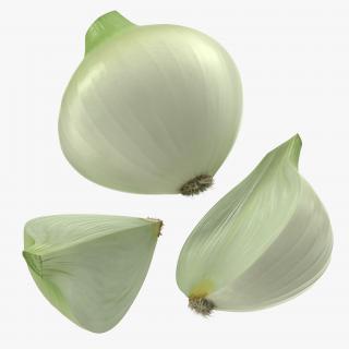 3D Onion Collection 2 model