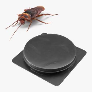 Rigged Cockroach with Bait Collection 3D