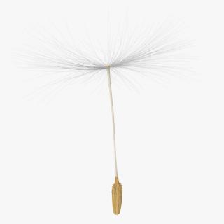 Dandelion Seed 3D model