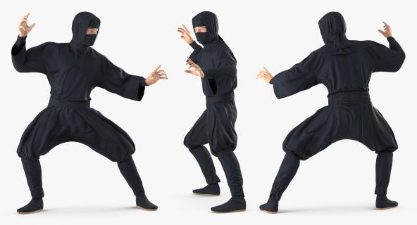 3D model Japan Ninja Fighting Pose