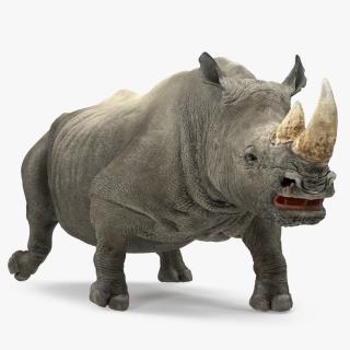 3D Rhino Walking Pose model