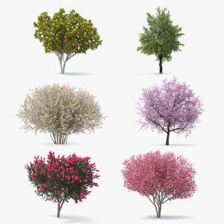 Flowering Bushes and Trees Collection 3 3D model