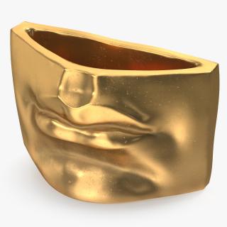 Michelangelo David lips decor Gold 3D model