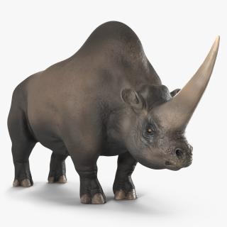 Elasmotherium Rigged for Maya 3D model