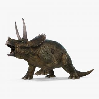 3D model Triceratops Fighting Pose