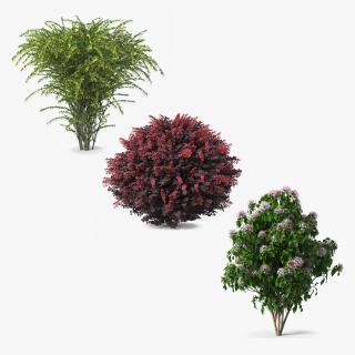 Bushes Collection 2 3D model