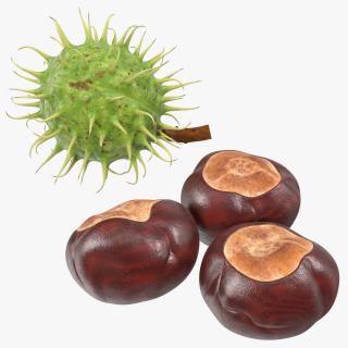 3D Horse Chestnut Set model