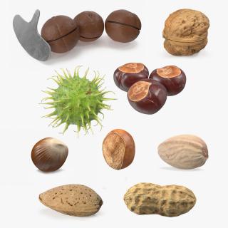 Nuts Collection 9 3D