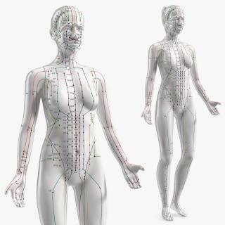 3D model Female Acupuncture Mannequin 2