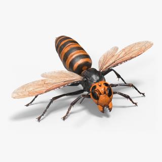 3D Huge Hornet Rigged model