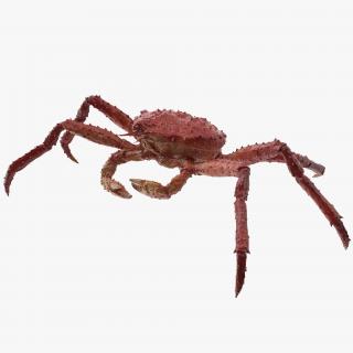 3D model Alaskan King Crab Walking Pose