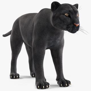 3D Black Panther model