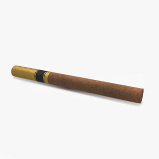 Filtered Cigar 3D model