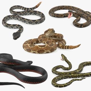 3D Rigged Snakes Collection 3