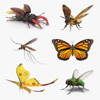 Rigged Flying Insects Collection 3D