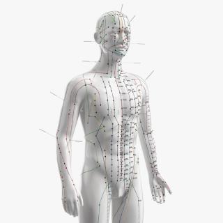 3D model Male Acupuncture Anatomy Chart with Needles 2