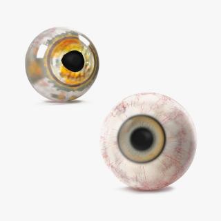 Realistic Animal Eyes Collection 3D