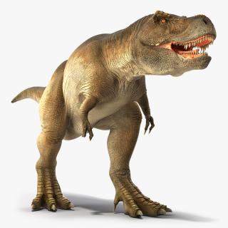 3D Animated Tyrannosaurus Rex Walking Rigged