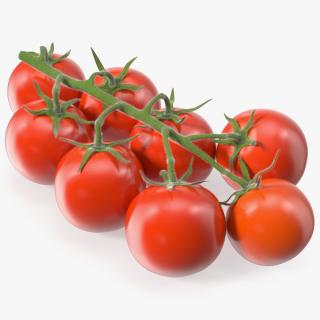 Fresh Cherry Tomatoes on the Vine Fur 3D