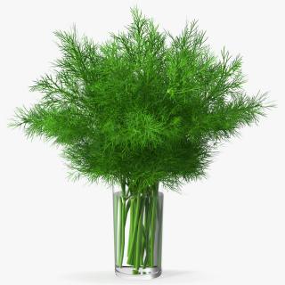 3D Dill Water Glass