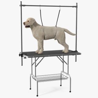 Grooming Table with Dog Fur 3D