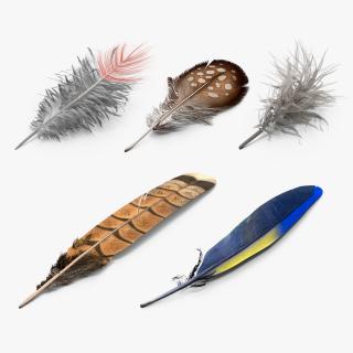 3D Feathers Collection 3