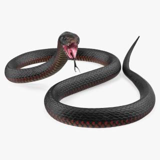 California King Snake Black 3D